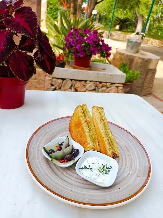 Agroturismo Finca Son Amora Palma de Mallorca 3*,  Spanje